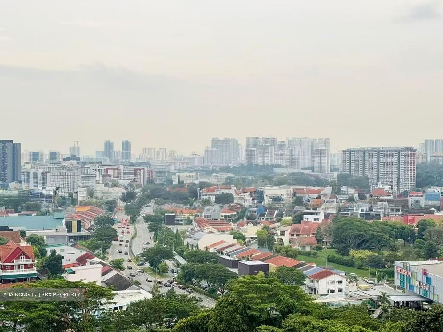 Thomson View Condominium (D20), Condominium #591561421